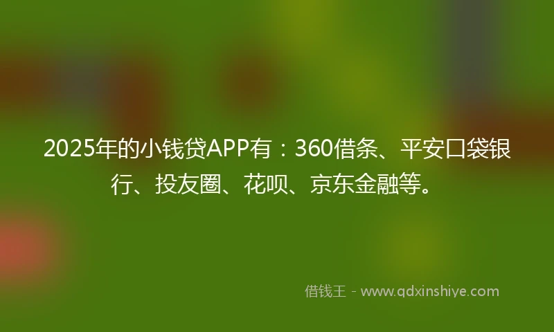 2025年的小钱贷APP有：360借条、平安口袋银行、投友圈、花呗、京东金融等。