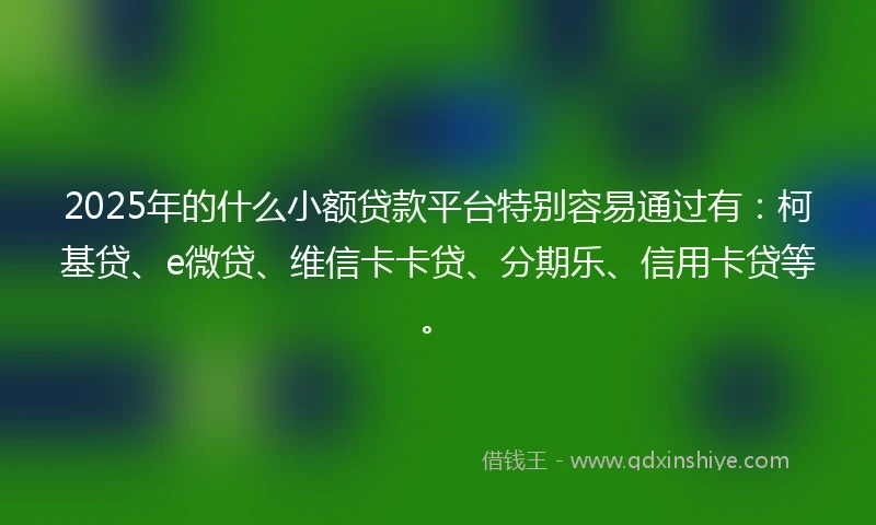 2025年的什么小额贷款平台特别容易通过有：柯基贷、e微贷、维信卡卡贷、分期乐、信用卡贷等。