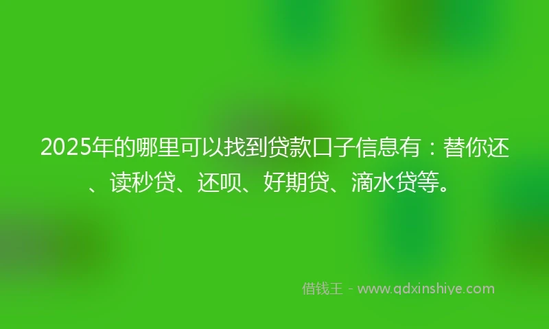 2025年的哪里可以找到贷款口子信息有：替你还、读秒贷、还呗、好期贷、滴水贷等。