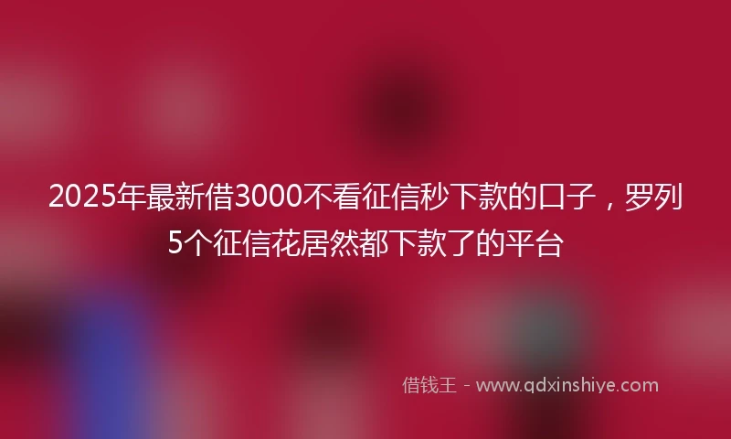 2025年最新借3000不看征信秒下款的口子，罗列5个征信花居然都下款了的平台