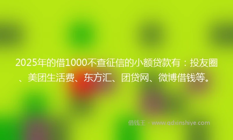 2025年的借1000不查征信的小额贷款有：投友圈、美团生活费、东方汇、团贷网、微博借钱等。