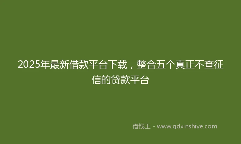 2025年最新借款平台下载，整合五个真正不查征信的贷款平台