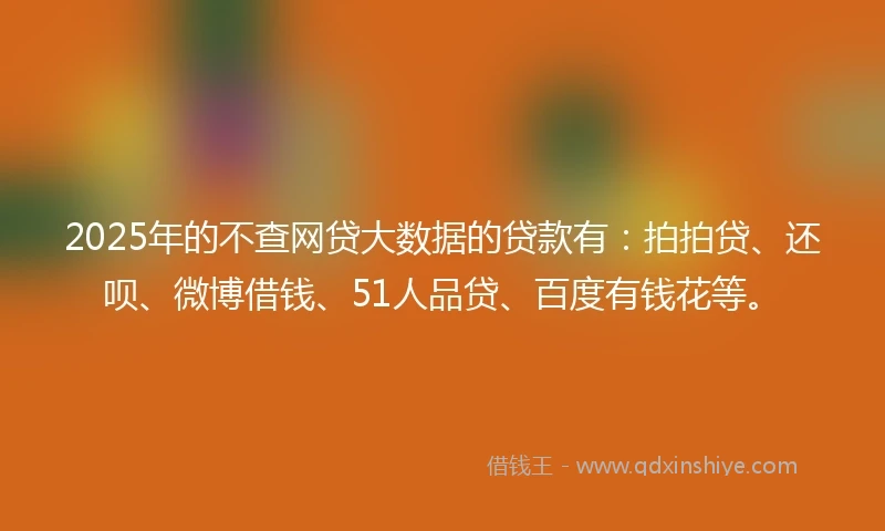 2025年的不查网贷大数据的贷款有：拍拍贷、还呗、微博借钱、51人品贷、百度有钱花等。