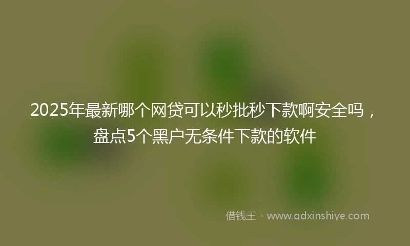 2025年最新哪个网贷可以秒批秒下款啊安全吗，盘点5个黑户无条件下款的软件