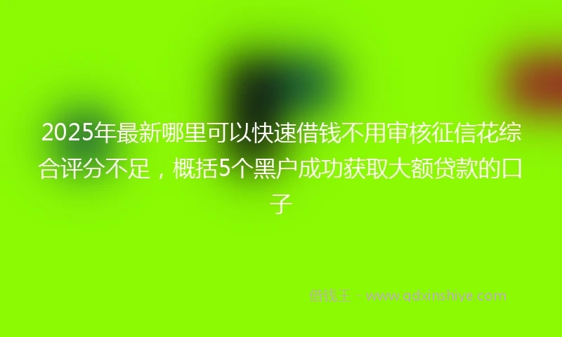 2025年最新哪里可以快速借钱不用审核征信花综合评分不足，概括5个黑户成功获取大额贷款的口子