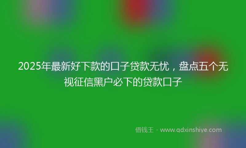 2025年最新好下款的口子贷款无忧，盘点五个无视征信黑户必下的贷款口子