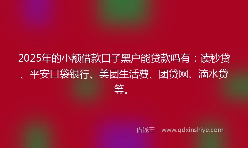 2025年的小额借款口子黑户能贷款吗有：读秒贷、平安口袋银行、美团生活费、团贷网、滴水贷等。