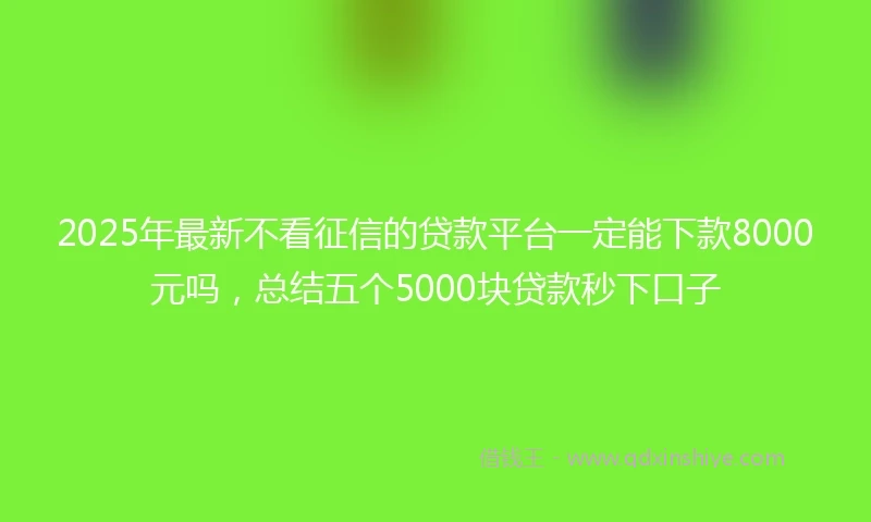 2025年最新不看征信的贷款平台一定能下款8000元吗，总结五个5000块贷款秒下口子