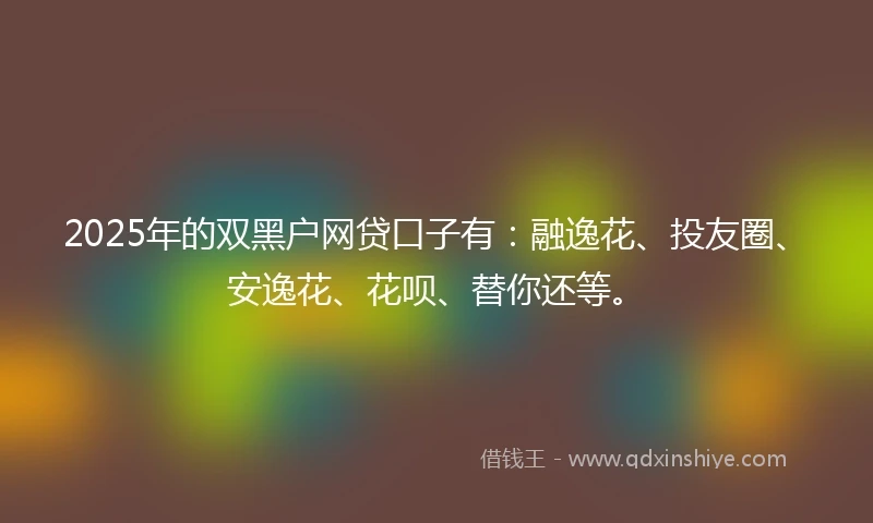 2025年的双黑户网贷口子有：融逸花、投友圈、安逸花、花呗、替你还等。