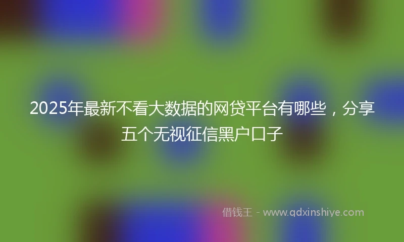2025年最新不看大数据的网贷平台有哪些，分享五个无视征信黑户口子