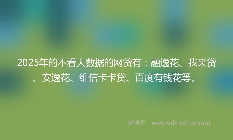 2025年的不看大数据的网贷有：融逸花、我来贷、安逸花、维信卡卡贷、百度有钱花等。