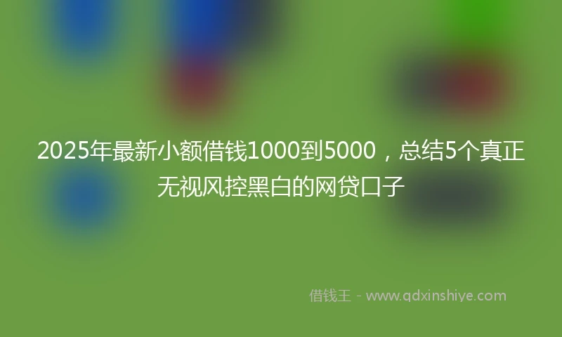 2025年最新小额借钱1000到5000，总结5个真正无视风控黑白的网贷口子