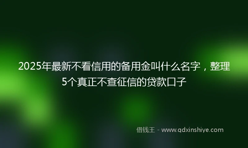 2025年最新不看信用的备用金叫什么名字，整理5个真正不查征信的贷款口子