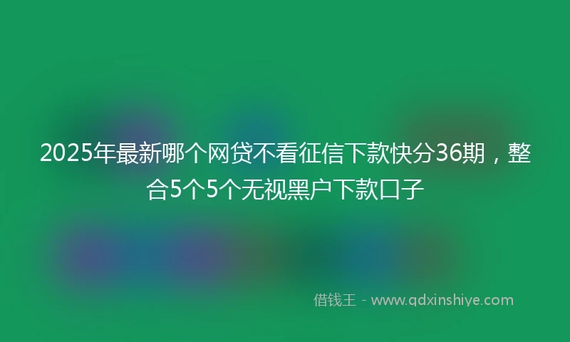 2025年最新哪个网贷不看征信下款快分36期，整合5个5个无视黑户下款口子