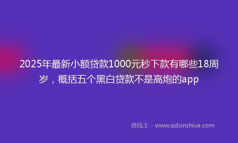 2025年最新小额贷款1000元秒下款有哪些18周岁，概括五个黑白贷款不是高炮的app