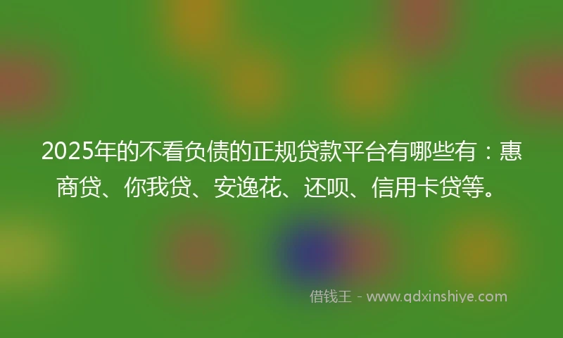 2025年的不看负债的正规贷款平台有哪些有：惠商贷、你我贷、安逸花、还呗、信用卡贷等。