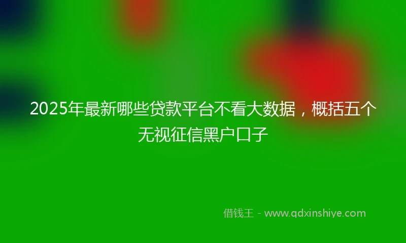 2025年最新哪些贷款平台不看大数据，概括五个无视征信黑户口子