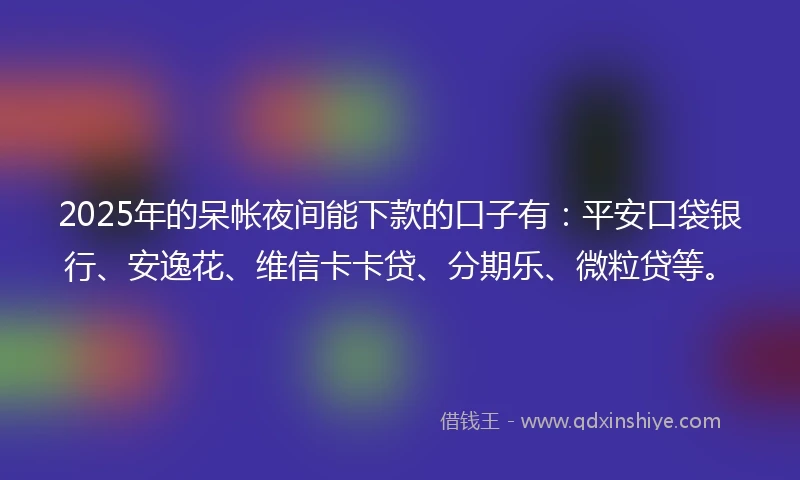 2025年的呆帐夜间能下款的口子有：平安口袋银行、安逸花、维信卡卡贷、分期乐、微粒贷等。