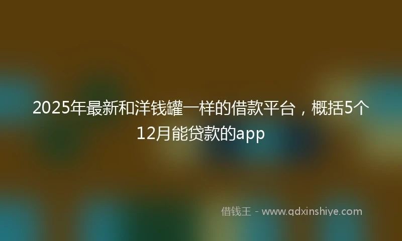 2025年最新和洋钱罐一样的借款平台，概括5个12月能贷款的app