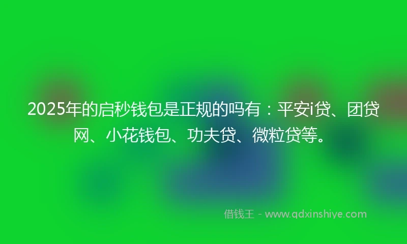2025年的启秒钱包是正规的吗有：平安i贷、团贷网、小花钱包、功夫贷、微粒贷等。