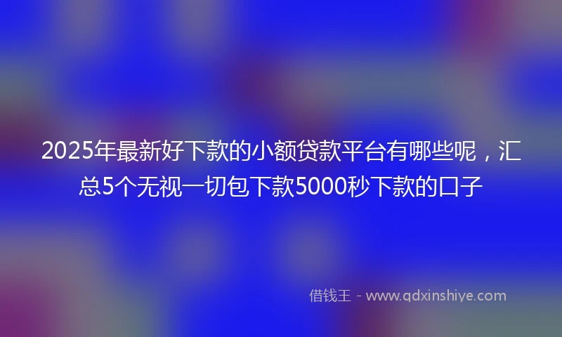 2025年最新好下款的小额贷款平台有哪些呢，汇总5个无视一切包下款5000秒下款的口子