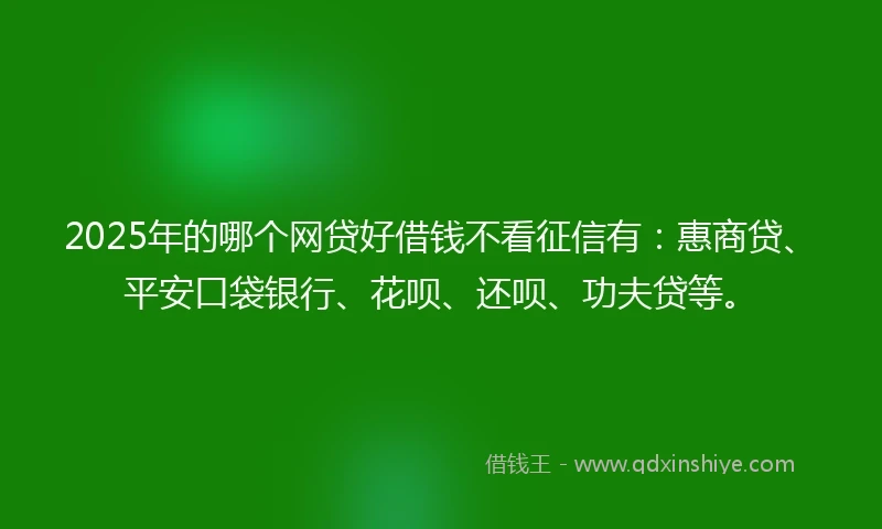 2025年的哪个网贷好借钱不看征信有：惠商贷、平安口袋银行、花呗、还呗、功夫贷等。