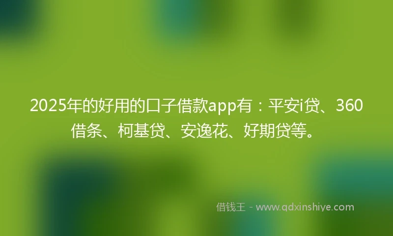 2025年的好用的口子借款app有：平安i贷、360借条、柯基贷、安逸花、好期贷等。