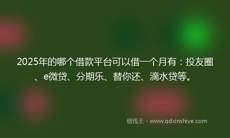 2025年的哪个借款平台可以借一个月有：投友圈、e微贷、分期乐、替你还、滴水贷等。