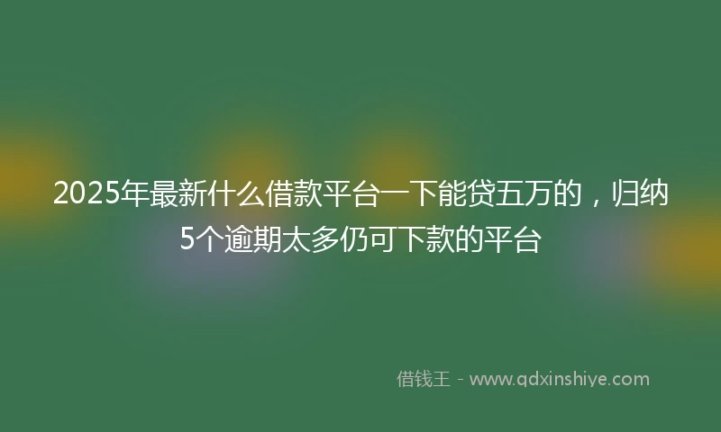 2025年最新什么借款平台一下能贷五万的，归纳5个逾期太多仍可下款的平台