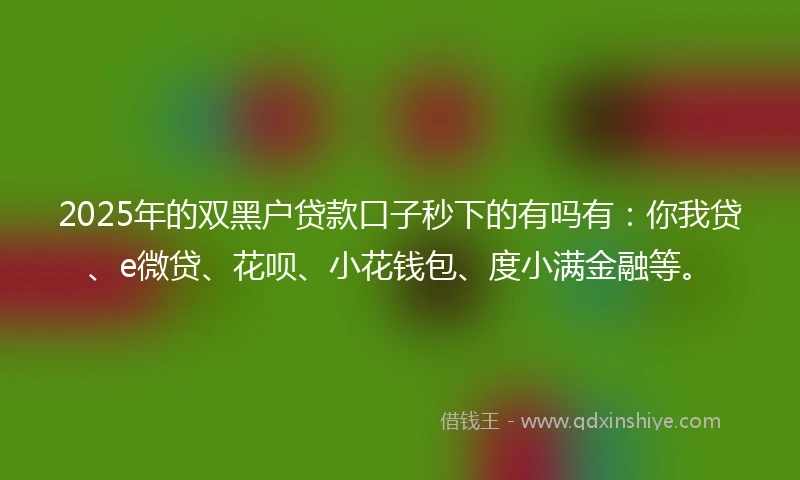 2025年的双黑户贷款口子秒下的有吗有：你我贷、e微贷、花呗、小花钱包、度小满金融等。