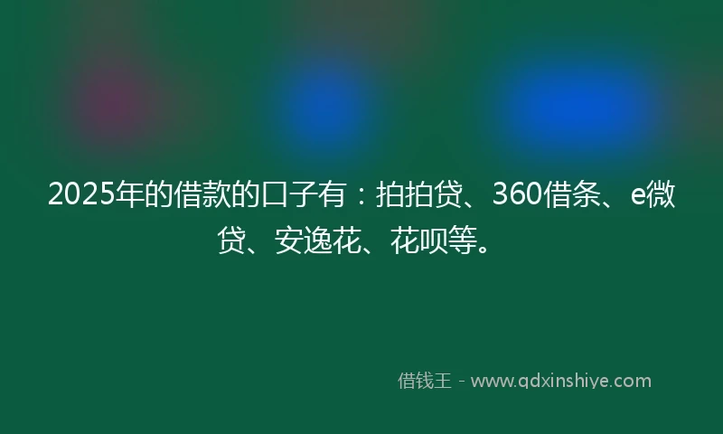 2025年的借款的口子有：拍拍贷、360借条、e微贷、安逸花、花呗等。