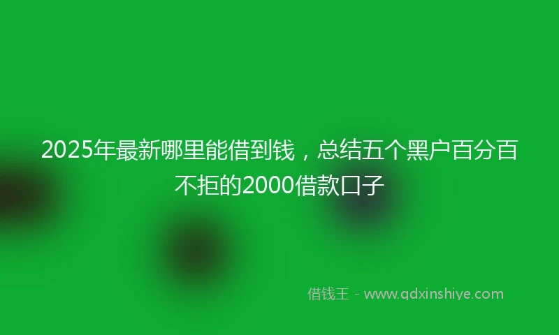 2025年最新哪里能借到钱，总结五个黑户百分百不拒的2000借款口子