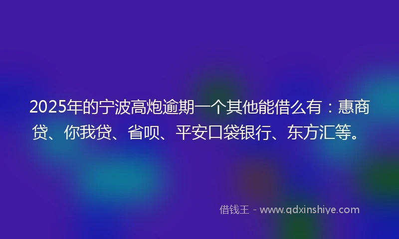 2025年的宁波高炮逾期一个其他能借么有：惠商贷、你我贷、省呗、平安口袋银行、东方汇等。