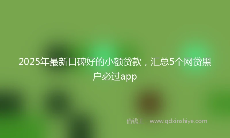 2025年最新口碑好的小额贷款，汇总5个网贷黑户必过app