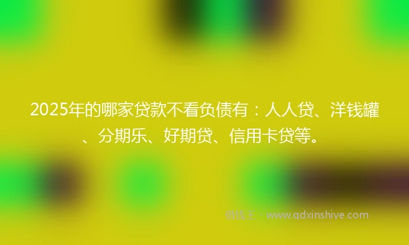2025年的哪家贷款不看负债有：人人贷、洋钱罐、分期乐、好期贷、信用卡贷等。
