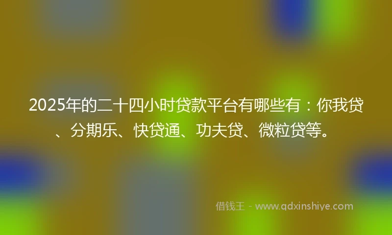 2025年的二十四小时贷款平台有哪些有：你我贷、分期乐、快贷通、功夫贷、微粒贷等。