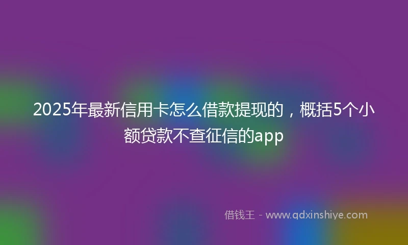 2025年最新信用卡怎么借款提现的，概括5个小额贷款不查征信的app