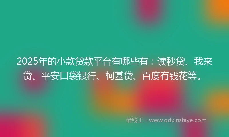 2025年的小款贷款平台有哪些有：读秒贷、我来贷、平安口袋银行、柯基贷、百度有钱花等。