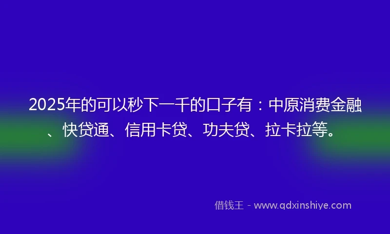 2025年的可以秒下一千的口子有：中原消费金融、快贷通、信用卡贷、功夫贷、拉卡拉等。