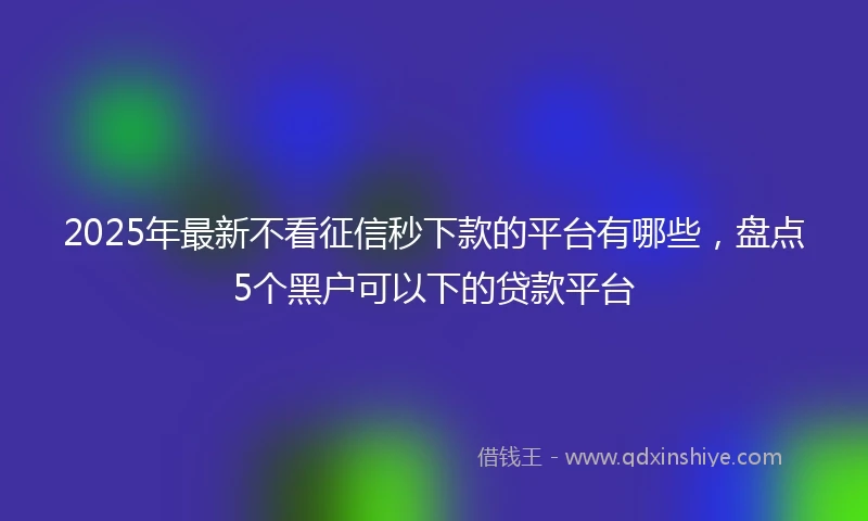 2025年最新不看征信秒下款的平台有哪些，盘点5个黑户可以下的贷款平台