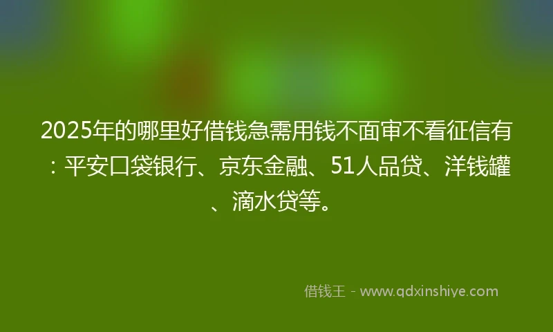 2025年的哪里好借钱急需用钱不面审不看征信有：平安口袋银行、京东金融、51人品贷、洋钱罐、滴水贷等。