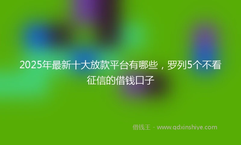2025年最新十大放款平台有哪些，罗列5个不看征信的借钱口子