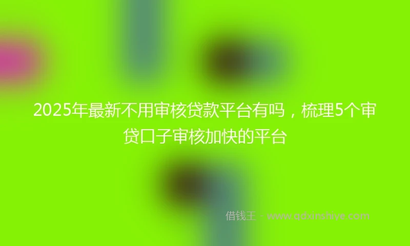 2025年最新不用审核贷款平台有吗，梳理5个审贷口子审核加快的平台