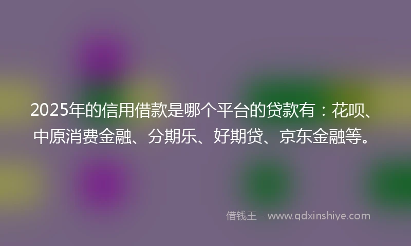 2025年的信用借款是哪个平台的贷款有：花呗、中原消费金融、分期乐、好期贷、京东金融等。