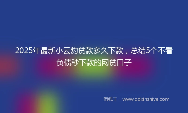 2025年最新小云豹贷款多久下款，总结5个不看负债秒下款的网贷口子