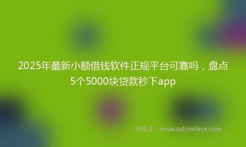 2025年最新小额借钱软件正规平台可靠吗，盘点5个5000块贷款秒下app
