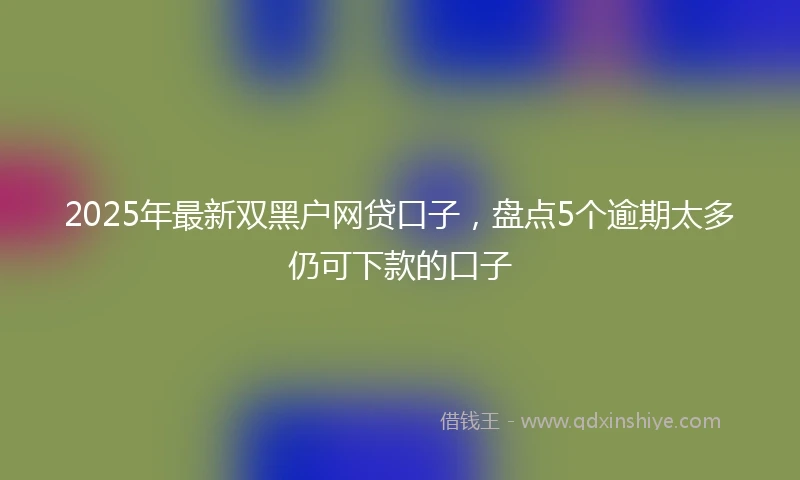 2025年最新双黑户网贷口子，盘点5个逾期太多仍可下款的口子