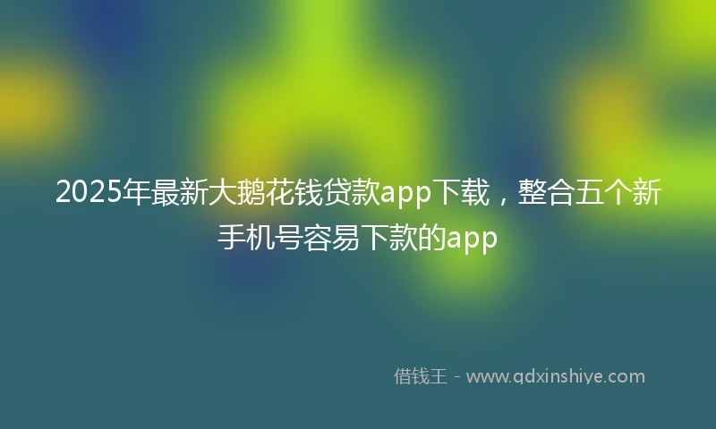 2025年最新大鹅花钱贷款app下载，整合五个新手机号容易下款的app
