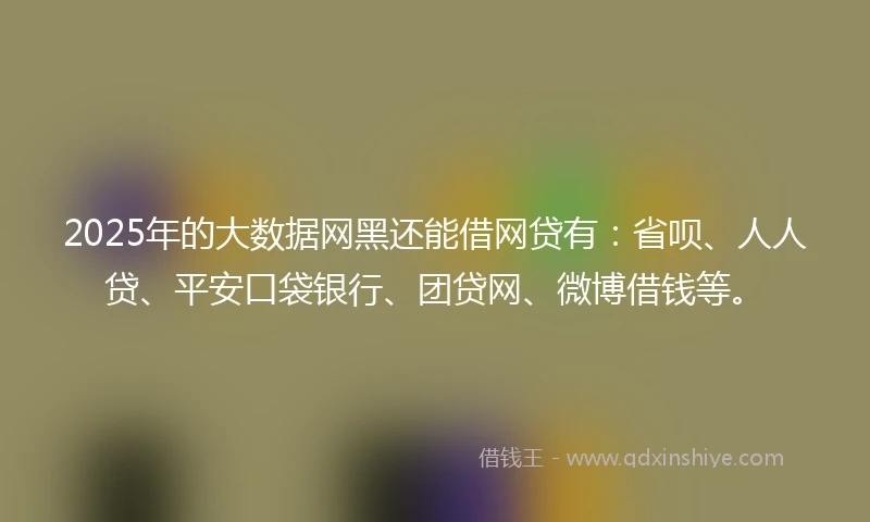2025年的大数据网黑还能借网贷有：省呗、人人贷、平安口袋银行、团贷网、微博借钱等。