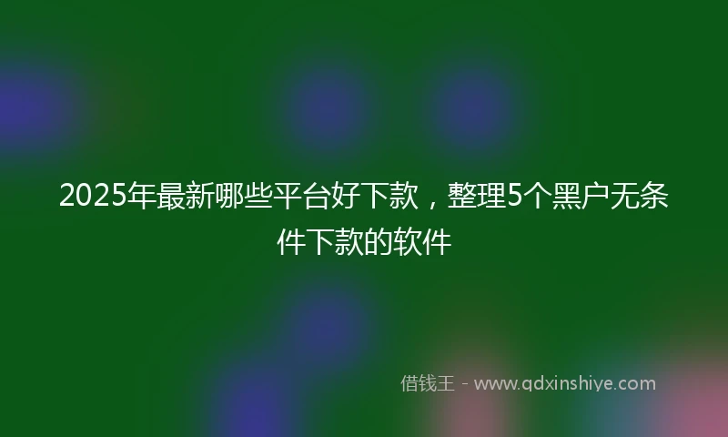 2025年最新哪些平台好下款，整理5个黑户无条件下款的软件